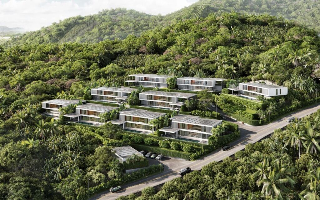 Canopy Hills