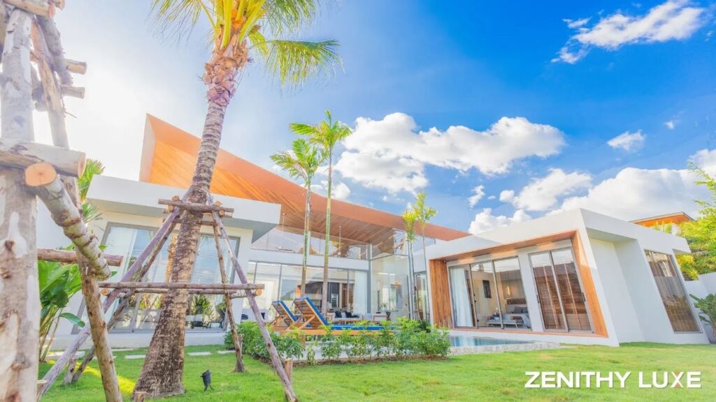 Zenithy Luxe
